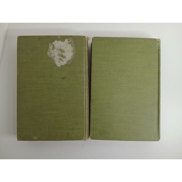 Lot of 2 Vtg Bunny Brown and His Sister Sue Books Laura Lee Hope Big Woods * - Picture 4 of 5